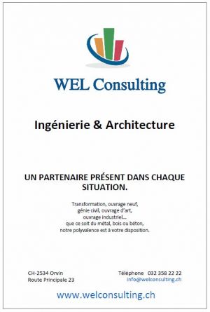 WEL Consulting.JPG